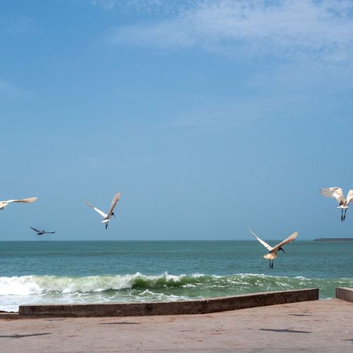 Dwarka