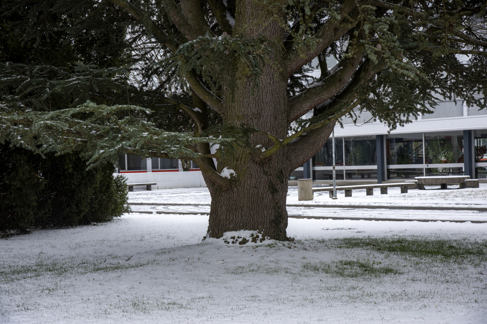 _DSC9130 copie