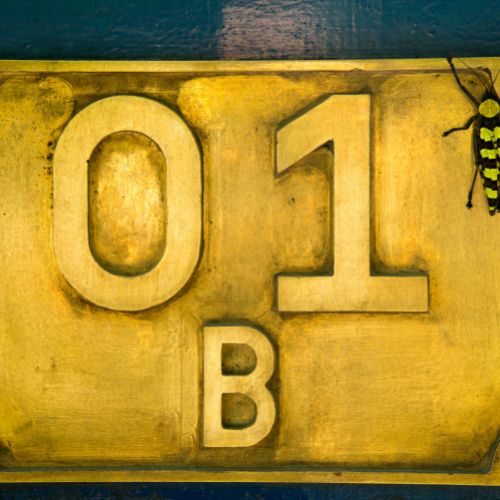 Darjeeling : insecte sur le plus vieux train à vapeur en service du monde